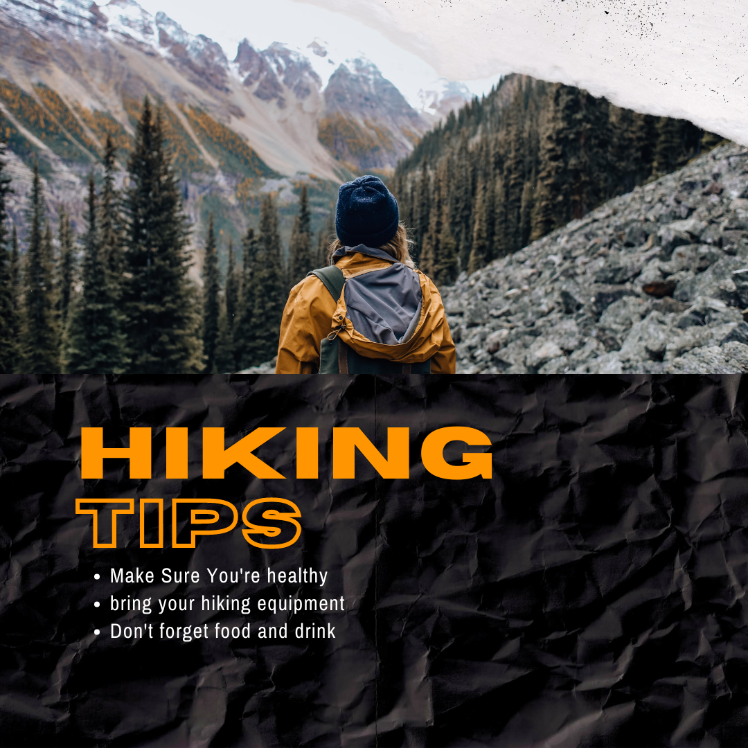 Hiking for Beginners: Essential Tips and Trail Recommendations for New Explorers